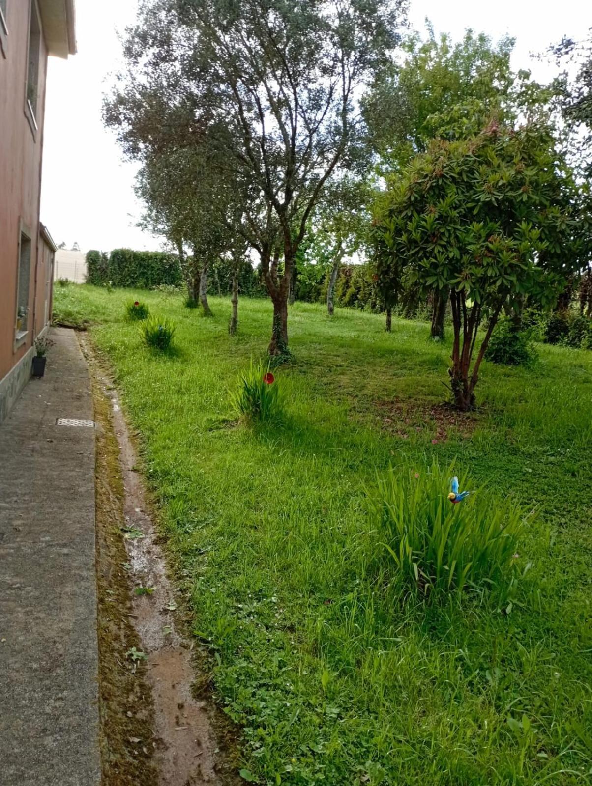 A Casa Do San Paio De Buscas Ordes Exterior foto
